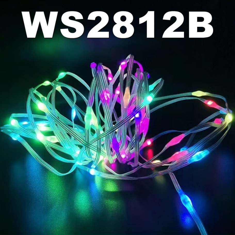 WS2812B LED Light String สมาร์ - Led Fairy String Lights บทวิจารณ์และราคา